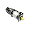 Nema 42 BF110BLS50 Square Head Geared BLDC Motor with High Precision Gearbox 110x110mm 3 Phase