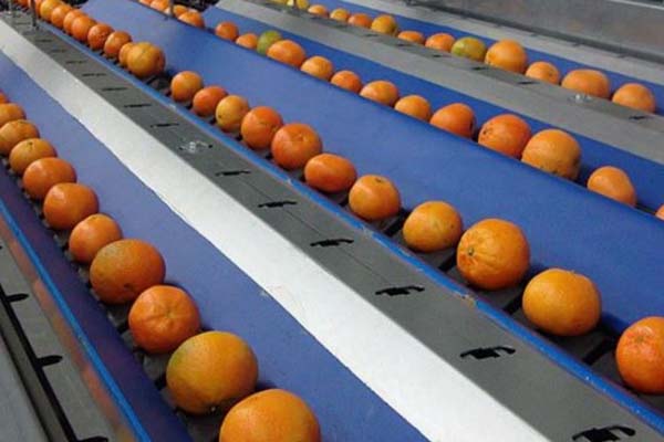 Servo Motors for Fruit And Vegetable Sorting Machines