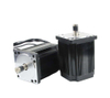 brushless dc electric motor