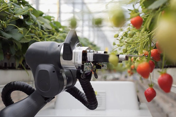 harvesting robot.jpg