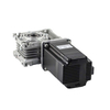 60mm integrated stepper motor with worm reducer