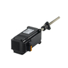 NEMA 24 stepper motor with external lead screw