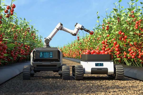 Tracked Agricultural Robot.jpg